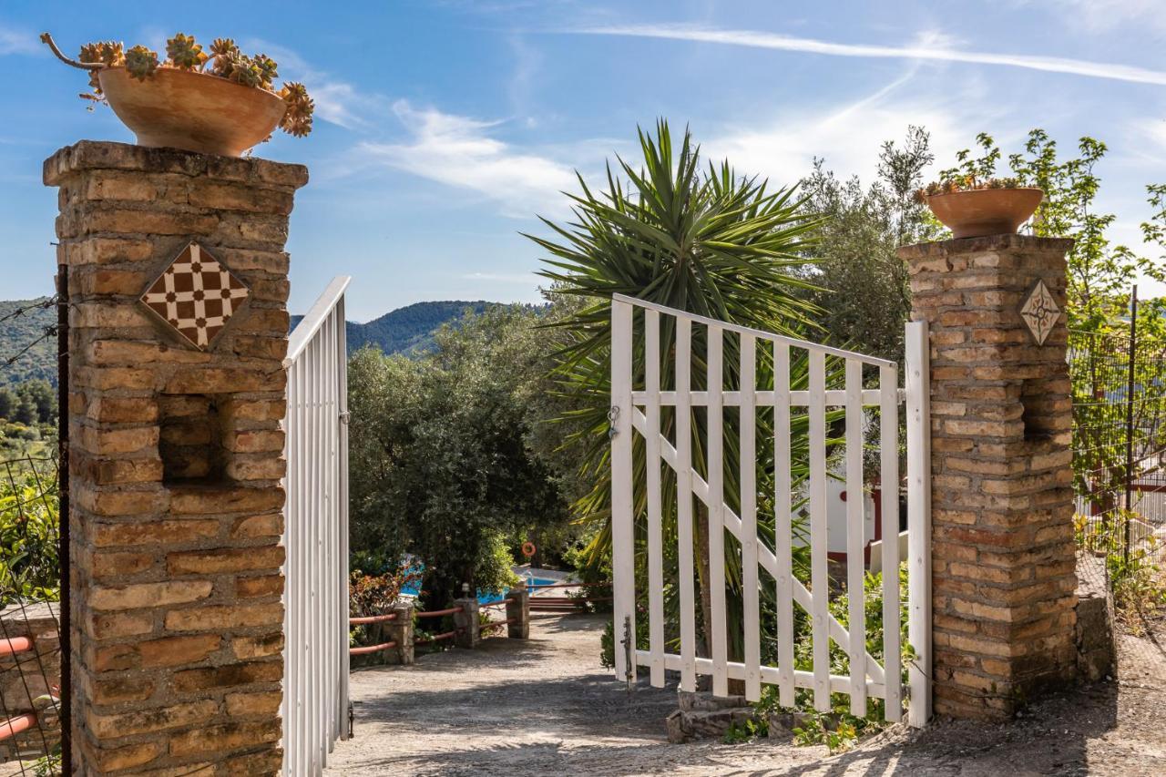 Villa Agia Marina Skopelos Extérieur photo